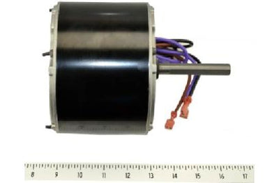 GOODMAN PARTS | 0131M00009PSP