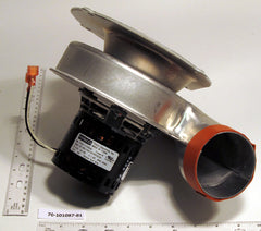 RHEEM 70-101087-81 120v Induced Draft Blower W/Gasket | Midwest Supply Us
