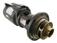 RAYPAK 009296F Pump 115v 4.0 Imptaco-kit | Midwest Supply Us