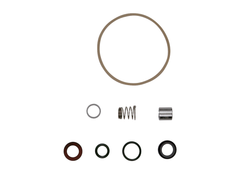 GRUNDFOS 395008 Shaft Seal & Gasket Kit For SPK 1/2/4/8 All CVBV (FKM) | Midwest Supply Us