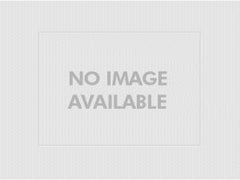 ERIE 100-081 Valve Body Rebuild Kit For General Temp & Steam 2 Way 7.0 Cv 3/4" Sweat & NPT An | Midwest Supply Us