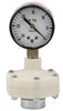G3004-005P | 1/2 GFPP 0-300 PSI GAUGE GUARD PTFE | (PG:626) Spears