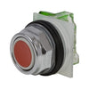 9001KR1RH5 | PUSHBUTTON 600VAC 10A 30MM | Schneider Electric (Square D)