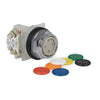 9001KR1UH5 | PUSH BUTTON 600VAC 10A 30MM T-K | Schneider Electric (Square D)