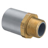836-020CBR | 2 CPVC MALE ADAPTER BR/MPTXSOC | (PG:096) Spears