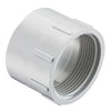 P101-060 | 6 PVC DWV FEMALE ADAPTER FPTXHUB | (PG:051) Spears