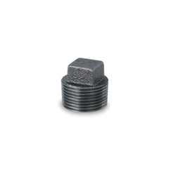 Everflow BMPL1000 EVERFLOW 1" SQUARE HEAD PLUG BLACK MAL | Midwest Supply Us