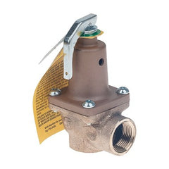 Raypak 007222F Relief Valve 1.1MBTU 3/4 Inch 60 Pounds per Square Inch  | Midwest Supply Us