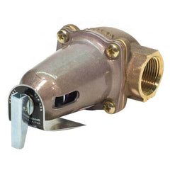 Xylem-Bell & Gossett 110130 1" 1170-36, 1,330,000 BTU Safety Relief Valve  | Midwest Supply Us