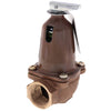 110125 | 790-75, 1,615,000 BTU Capacity Relief Valve | Xylem-Bell & Gossett