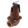 110127 | 790-125, 2,535,000 BTU Capacity Relief Valve | Xylem-Bell & Gossett