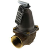 110129 | 1170-30 1170K Relief Valve | Xylem-Bell & Gossett