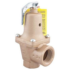 Watts 740-40-34FS Relief Valve Water Pressure with Flood Sensor 3/4 Inch Female Iron 40PSI 250 Degrees Fahrenheit  | Midwest Supply Us