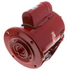 169226 | Ball Bearing Motor, 1/3 HP (Series 60) | Xylem-Bell & Gossett