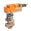 G220S-K+LVB24-SR | Globe Valve | 0.75