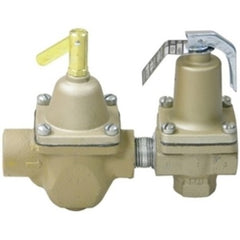 Watts 1450F Control Valve Dual 1/2 Inch NPT Cast Iron 100 Pounds per Square Inch 212 Degrees Fahrenheit  | Midwest Supply Us