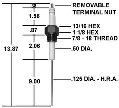 Crown Engineering CA609 IGNITER/REPL IC-10 W/9" TIP  | Midwest Supply Us