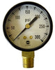 41405 | PSI GAUGE 0-300 psi, 2