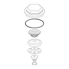 Spirax-Sarco 66445 Repair Kit 3/4 Inch for TH-25/125 Balanced Pressure Thermostatic Steam Trap  | Midwest Supply Us