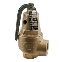 Apollo Products 1060407 3/4" Female High-Capacity Heating System Relief Valve 40 PSIG  | Midwest Supply Us