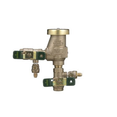 Watts | 1/2LF800M4-QT-FZ