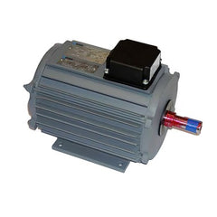 Baltimore Parts 2430900001 Fan Motor 2 Horsepower 460 Volt 1160 Revolutions per Minute  | Midwest Supply Us