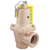 740-30-2FS | Relief Valve Water Pressure with Flood Sensor 2 Inch Female Iron 30PSI 250 Degrees Fahrenheit | Watts