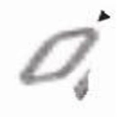 Weil Mclain 590735150 Sealing Rope Glass 3/8 Inch for 88/94 Boiler 20 Feet  | Midwest Supply Us