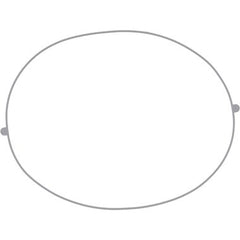 Lochinvar & A.O. Smith 100208763 Gasket  | Midwest Supply Us