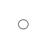 100076012 | O-Ring JASO 1025 | Water Heater Parts