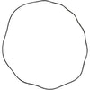 100307615 | Gasket AO Smith Door O-Ring PWH3000-4000 | Water Heater Parts