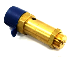 Johnson Controls A-400-603 POP VALVE; 1/2" 23PSIG  | Midwest Supply Us