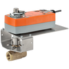 B224VSS+AFX24-MFT95-X1 | Ball Valve | 1