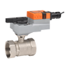 B253+ARX120-SR | Characterized Control Valve (CCV), 2