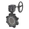 F6125-150SHP+GW12 | Butterfly Valve | 5