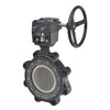 F6450-150SHP+GW23 | Butterfly Valve | 18