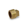 BRPL0018-NL | 1/8 Plug Cored Brass Lead Free | Everflow