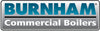 80160251 | 140-240F SPST IMMERSN AQUASTAT | BURNHAM
