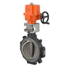 F6250-300SHP+SY4-110 | Butterfly Valve | 10