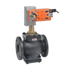 G665C-250+AFX24-MFT95-X1 | Globe Valve,2.5