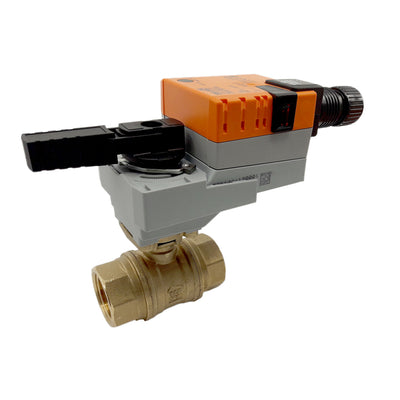 Belimo | EXT-B2075-PWV-NPT+LRB24-3