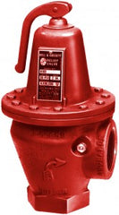 Xylem-Bell & Gossett 110081 ASME SAFETY RELIEF VALVE 3301-45 ASME Relief Valve  | Midwest Supply Us