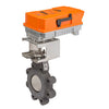 F6125-300SHP+PRXUP-MFT-T (N4H) | Butterfly Valve | 5