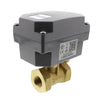 F261KFH-V02C | LIQUID FLOW SWITCH; LIQUID FLOW SWITCH | Johnson Controls