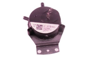 GOODMAN PARTS | 10727920