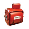 811757-007 | 115/230v1ph 1hp 1725rpm Motor | Armstrong Fluid Technology