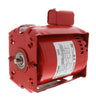 817025-013 | 1/3HP 115V 1750RPM MOTOR | Armstrong Fluid Technology