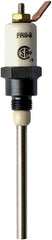 Auburn FRS-9 FLAME ROD  | Midwest Supply Us
