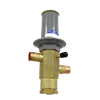 P12440 | Hot Gas Bypass Valve | Aaon