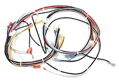 Armstrong Furnace R45407-001 Wire Harness  | Midwest Supply Us